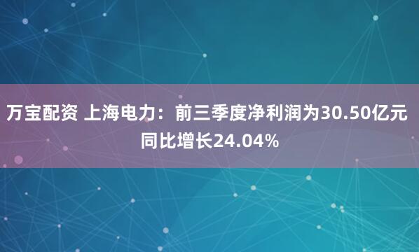 万宝配资 上海电力：前三季度净利润为30.50亿元 同比增长24.04%